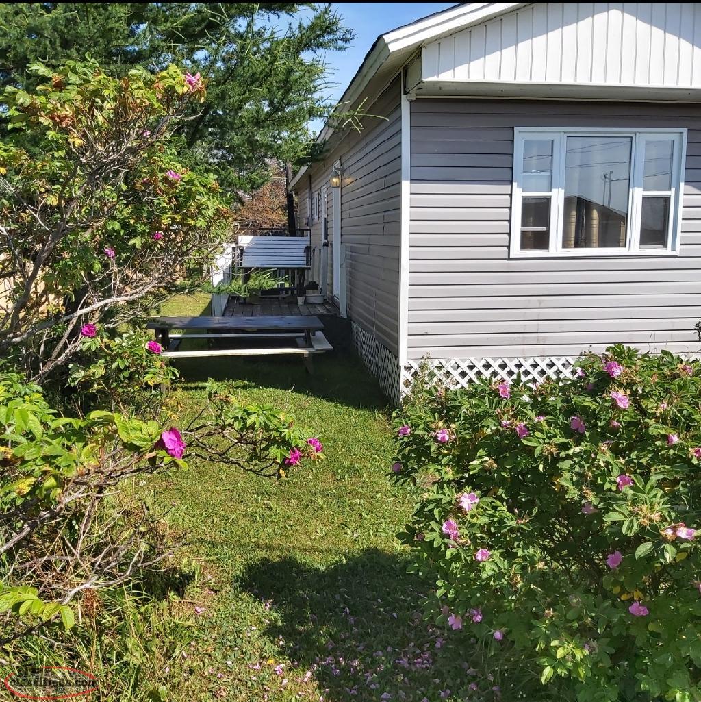 Arnold's cove with an older home that needs upgrading Clarenville