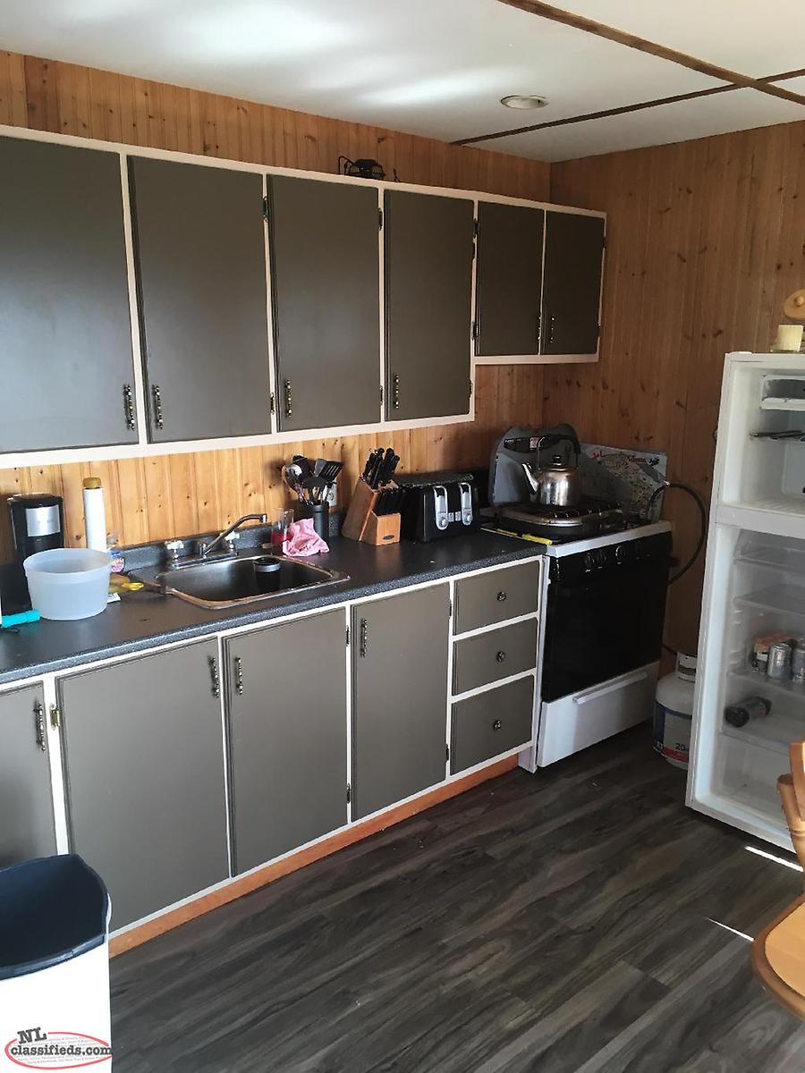 Remote Cabin For Sale Lark Harbour, Newfoundland Labrador NL
