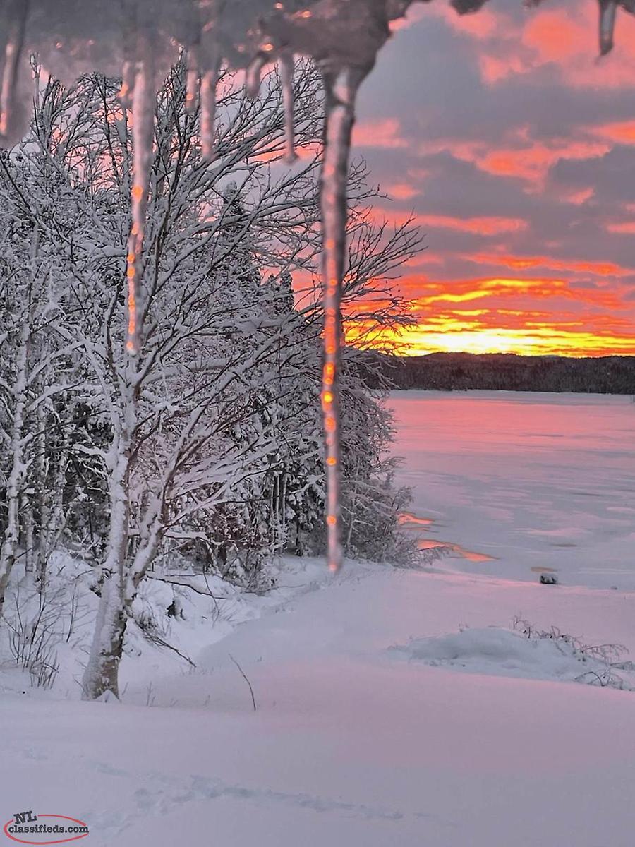 Lakefront Cabin and land for sale Norris Arm/central Nl, Newfoundland