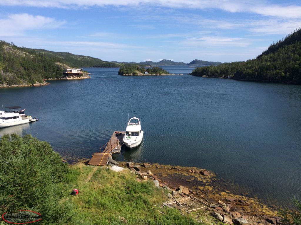 For Sale Beautiful Log Cabin near Clarenville Clarenville