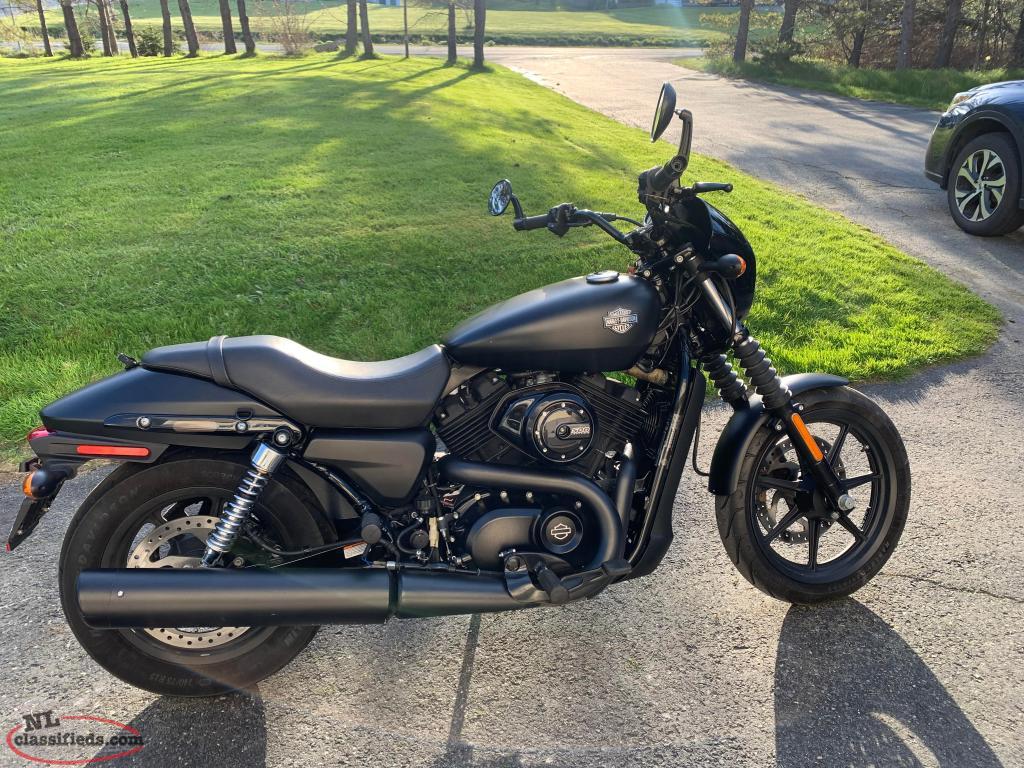 2016 Harley Davidson XG500 Street - Outer Cove, Newfoundland Labrador ...