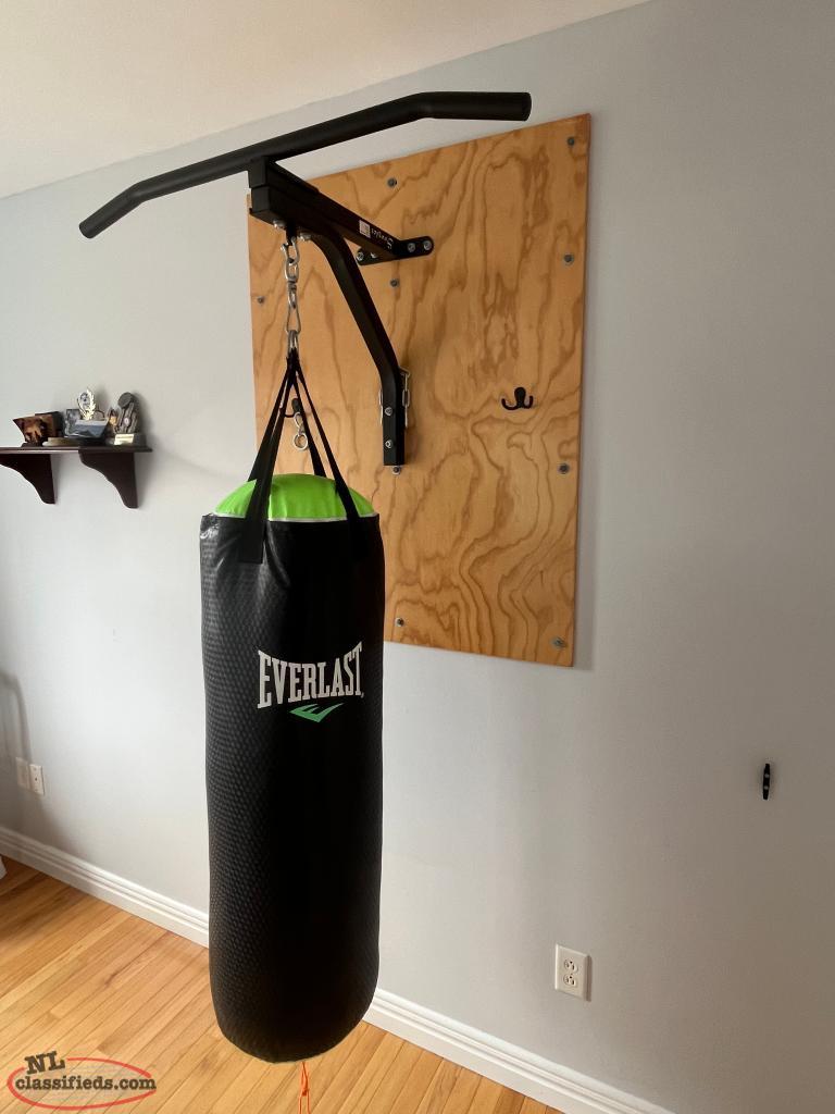 Punching Bag & Pullup Bar Cbs, Newfoundland Labrador NL Classifieds