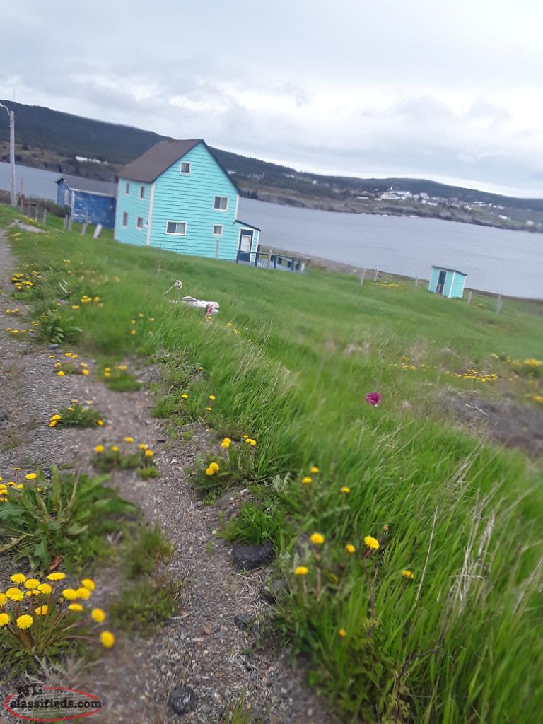 Elliston. Prime tourist land for sell, puffins, whales, rout cellars