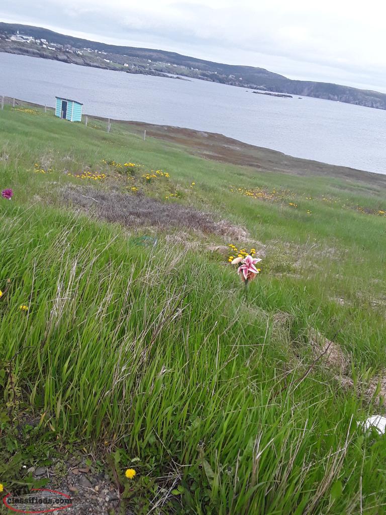 Elliston. Prime tourist land for sell, puffins, whales, rout cellars