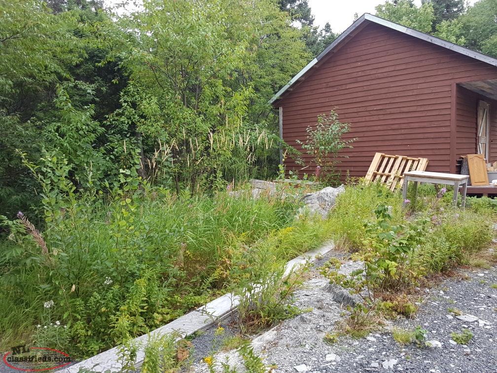 Oceanfront Cabin Bunyans Cove, Newfoundland Labrador NL Classifieds