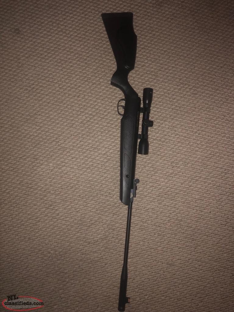 Pellet gun with scope and pellets Mount Pearl, Newfoundland Labrador