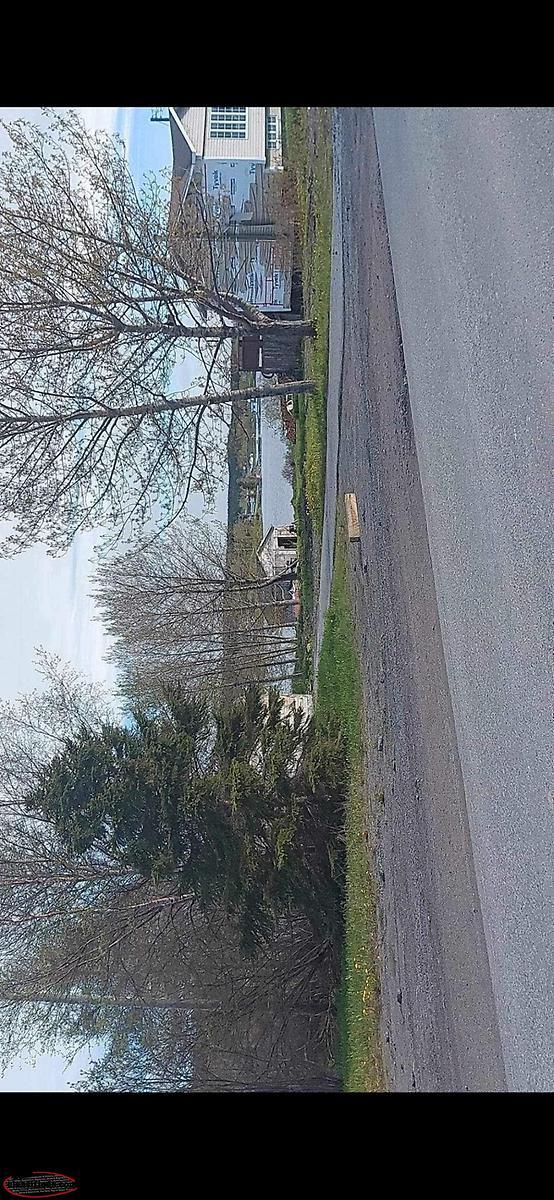 Roddickton 46 Harbour drive Roddickton N.l, Newfoundland Labrador