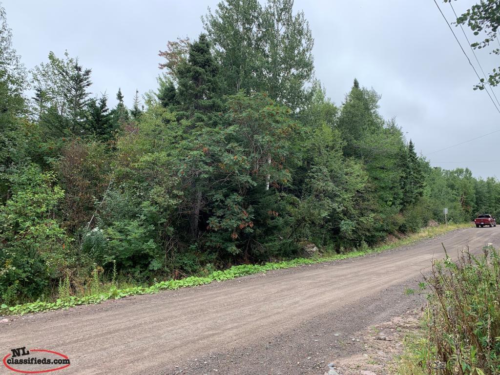 House /Cabin Lot Port Blandford Port Blandford, Newfoundland Labrador
