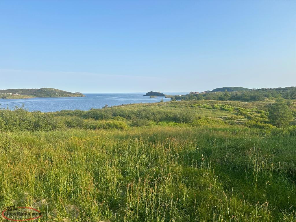 Oceanfront Land for Sale Champneys East, Newfoundland Labrador NL