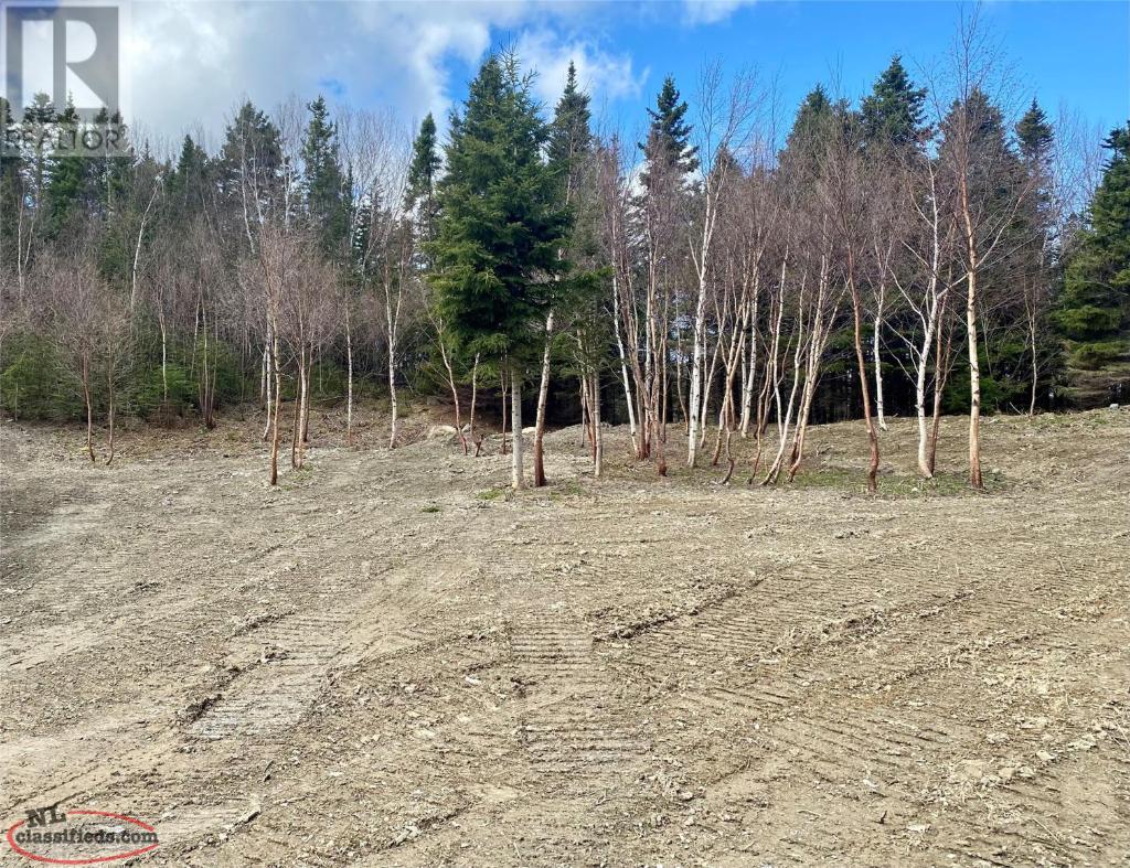 House For Sale Town of Mount Moriah Mount Moriah, Newfoundland