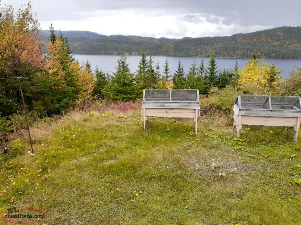 Cabin for Sale Bonne Bay Pond Bonne Bay Pond, Newfoundland Labrador