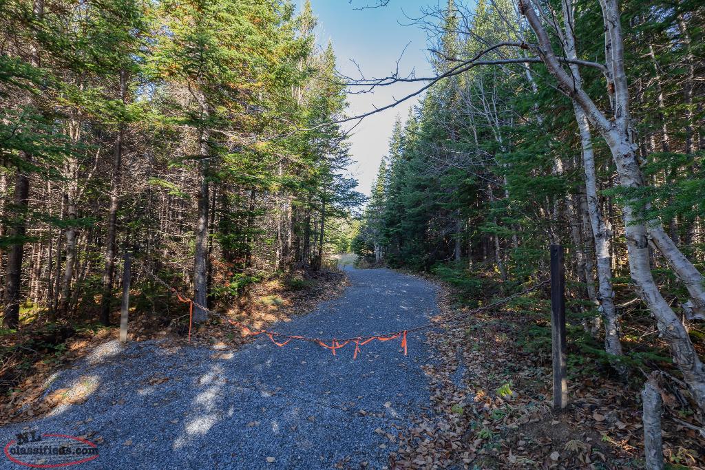 Land for Sale! Pinchgut Lake! Pinchgut Lake, Newfoundland Labrador