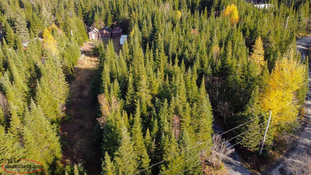 Land for Sale! Pinchgut Lake! Pinchgut Lake, Newfoundland Labrador